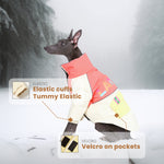 Laifug Stand Collar Two Legs Dog Winter Coat