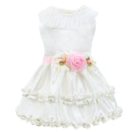 Laifug Luxury Puppy Wedding Dress - LaiFug