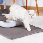 Laifug Cat Litter Mat - LaiFug