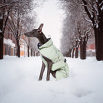 Manteau d'hiver pour chien à col montant vert Laifug 