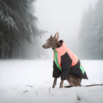 Laifug Stand Collar Two Legs Dog Winter Coat