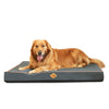 Laifug Egg - Crate Foam Dog Bed - LaiFug