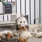 Laifug Hidden Squirrel Plush Dog Toy - LaiFug