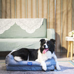 Laifug MDI Dog Sofa - LaiFug