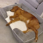 Laifug Large Dog Sofa - LaiFug